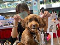 SingaPAW Weekend 58