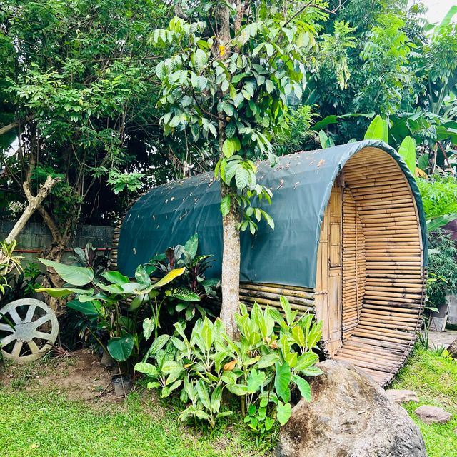 Paraiso de Avedad: Where Beauty Beckons