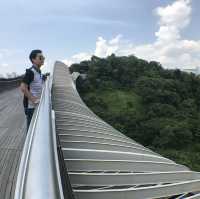 สะพานคลื่น henderson waves สิงคโปร์