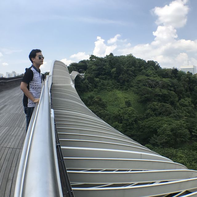 สะพานคลื่น henderson waves สิงคโปร์