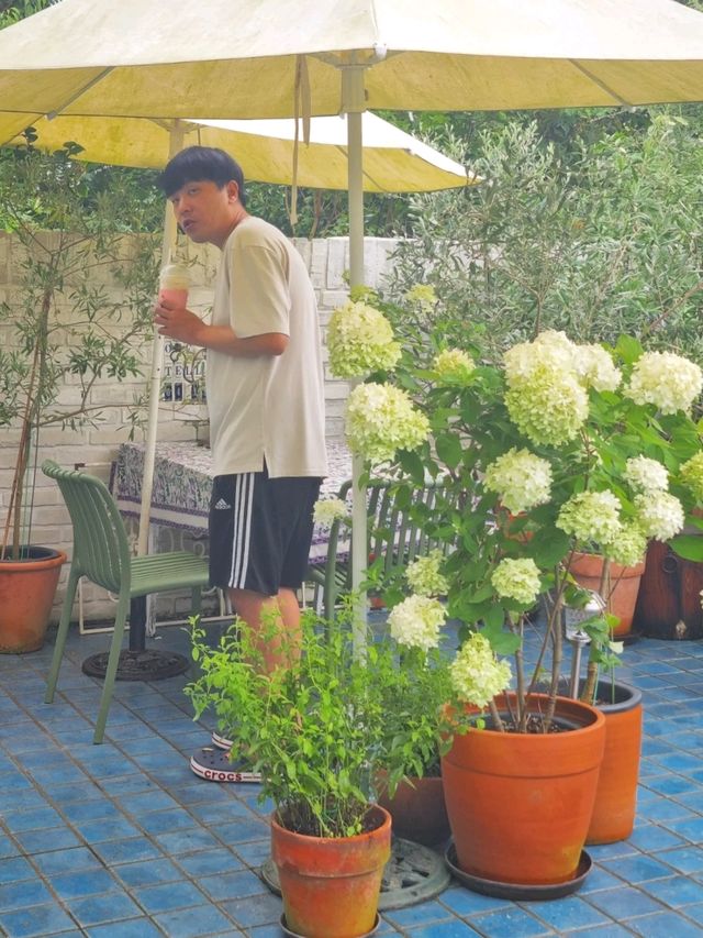 수국 만발한 정원에서