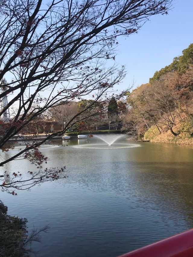 天王寺5分鐘🙉鬧市中秘境👍🏻慶澤園‼️