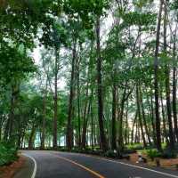 เดินเล่นริมหาด ที่อุทยานแห่งชาติสิรินาถ