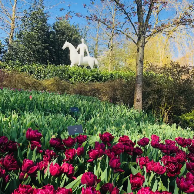 荷蘭🇳🇱利瑟· 藝術雕像美侖美奐⛲️Keukenhof庫肯霍夫花園