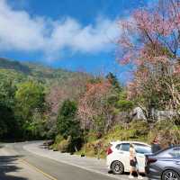 น้ำตกวชิรธาร - อุทยานแห่งชาติดอยอินทนนท์