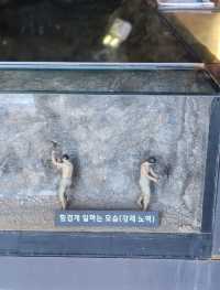 가덕도 한 눈에 둘러보기, 대항항포진지와 벽화마을📷