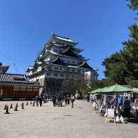愛知旅行！絶対はずせない名古屋城