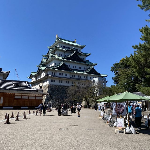 愛知旅行！絶対はずせない名古屋城