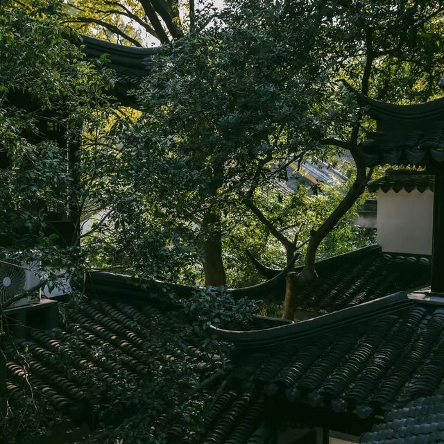 華光寺 🏯🌸靜心禪修🌼🙏