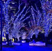 Illumination season in Japan 🇯🇵 