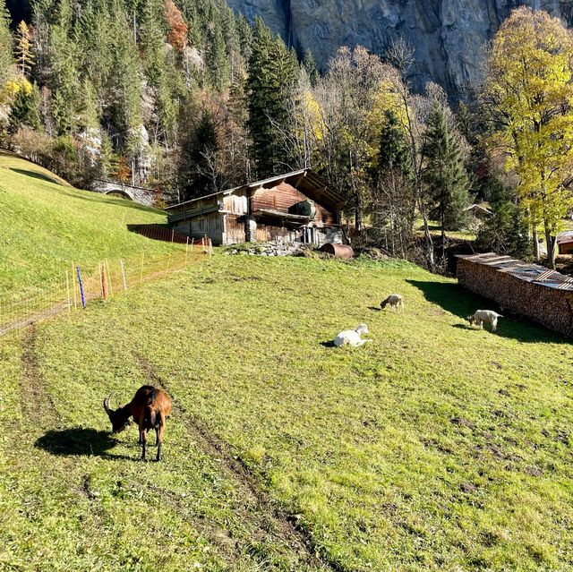 Autumn Magic in Lauterbrunnen's Embrace