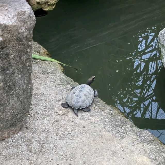1903年開業の歴史ある動物園