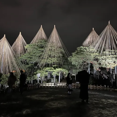 【石川】兼六園・玉泉院庭園のライトアップ✨