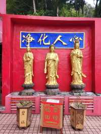 應該是全港最多佛像的寺院