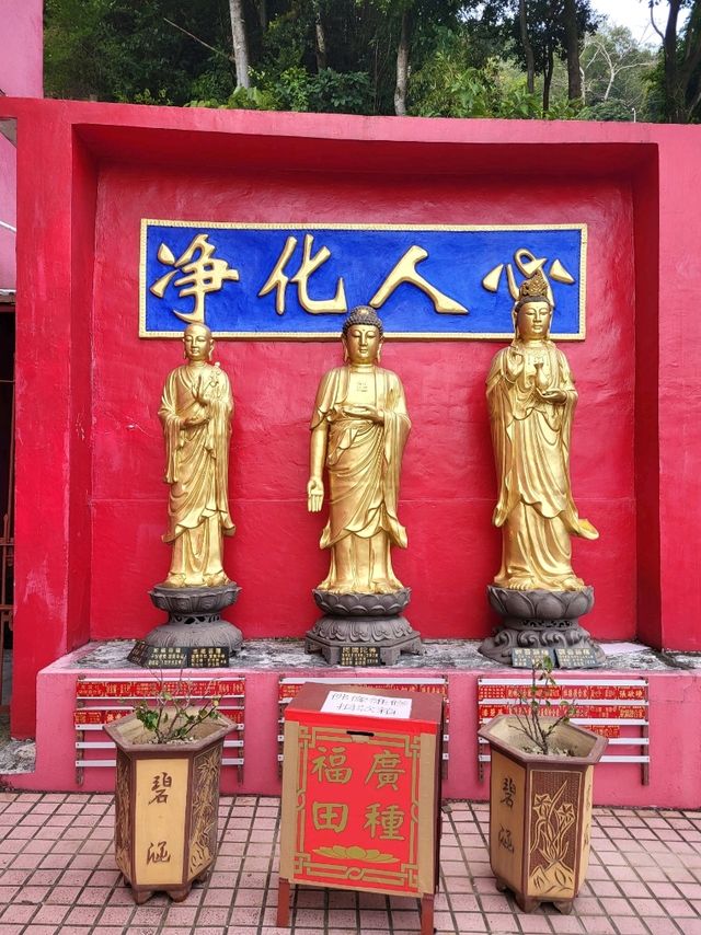 應該是全港最多佛像的寺院