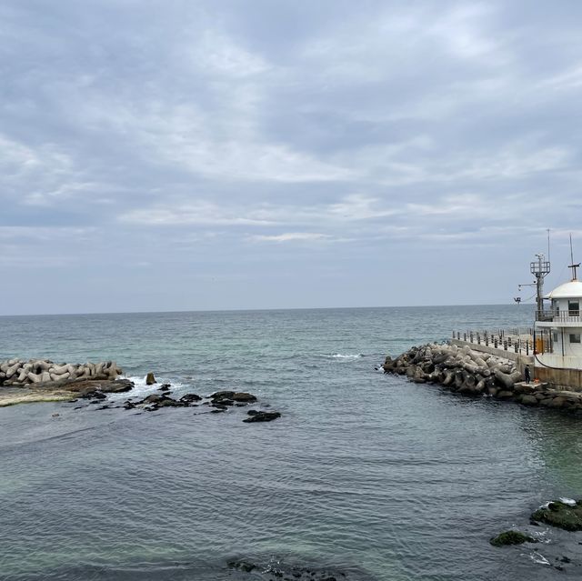 고요한 겨울바다 정취를 만끽할 수 있는 강릉 송정해수욕장🌊