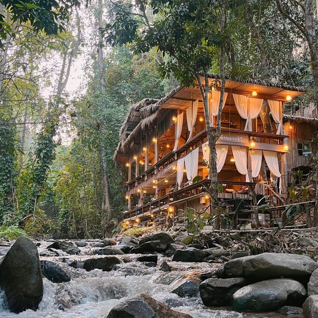 🍃 บ้านธารชีวี แม่แมะ เชียงดาว 