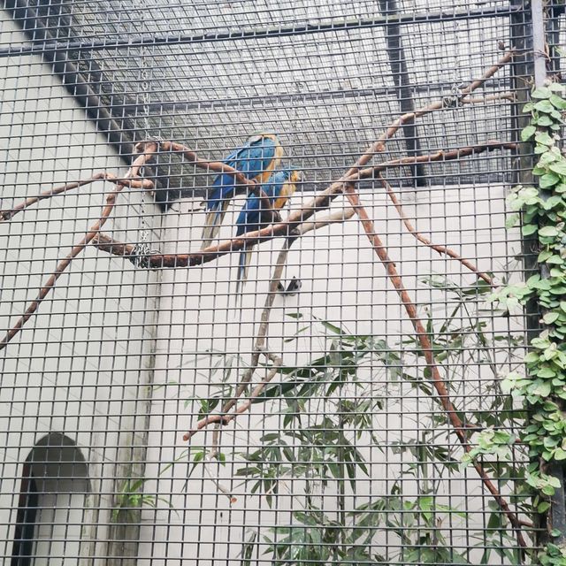 嘉道理農場暨植物園