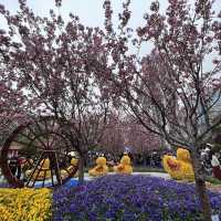春日限定，花迷值得一去～維多利亞公園花卉展🌸