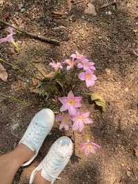 Kalaw (Highland in Myanmar) 