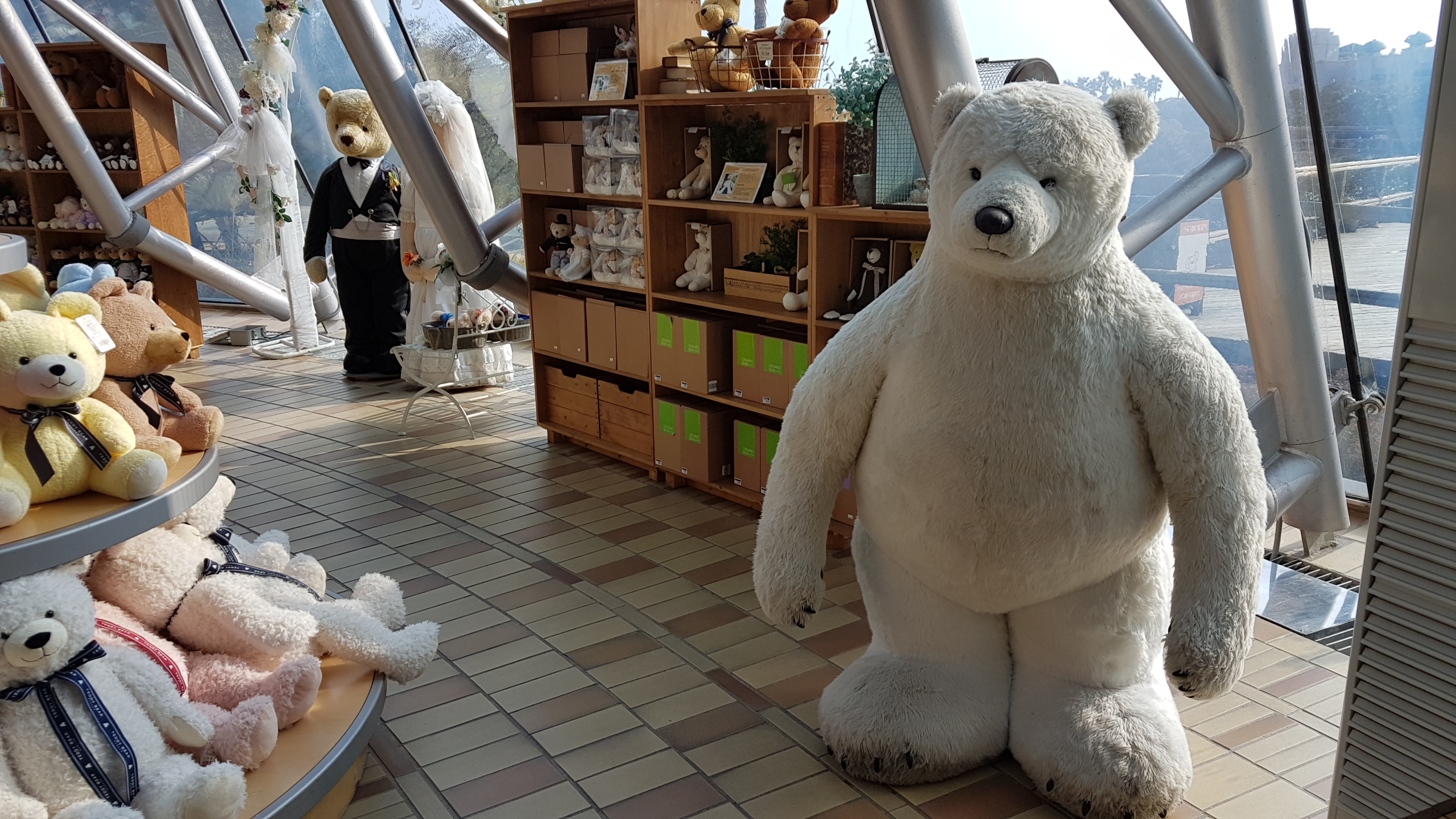 South Korea Pt 14: Teddy Bear Museum, Jeju Pt 2 – Jeffer's Odyssey