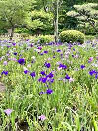 鶴舞公園