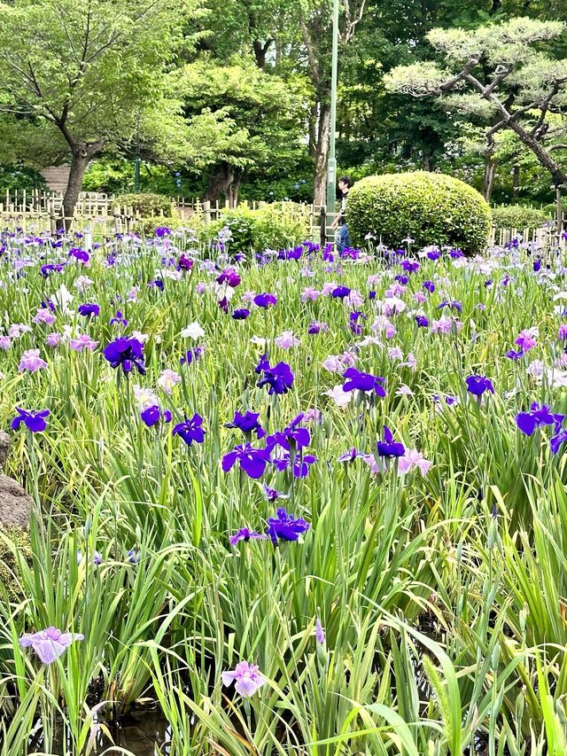 鶴舞公園