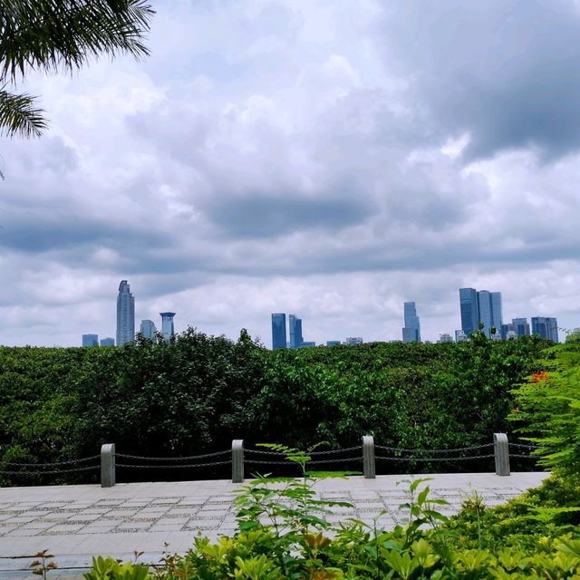 深圳灣公園•紅樹林區
