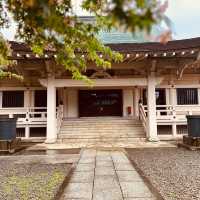 招財貓の寺——豪德寺🐈‍⬛😸