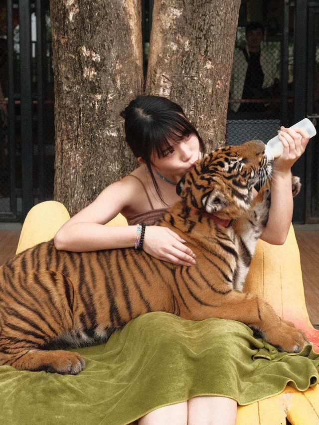 曼谷車程三小時🇹🇭｜近距離接近猛獸 Safari Park🦒