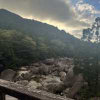 【鹿児島・屋久島】世界遺産の縄文杉に✨