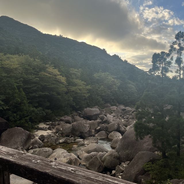 【鹿児島・屋久島】世界遺産の縄文杉に✨