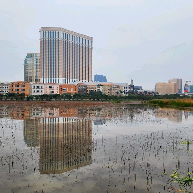 城市中的濕地生態公園