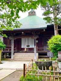 【神奈川県/極楽寺】風情ある山門に導かれる寺院