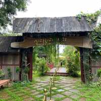 Angkor's Blooming Haven: Nature's Delight
