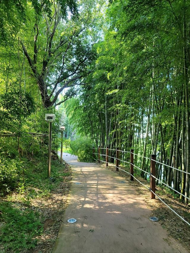 소망가득담은 기적을 바라는 거제 송구영신소망길🙏