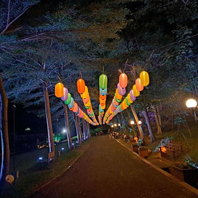 西湖渡假村夜晚夢幻光雕秀🌙🌠🌌