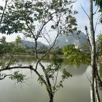 話望生湖畔公園