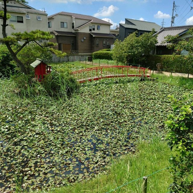 愛知旅行！桶狭間の戦いゆかりの地「弁天池」