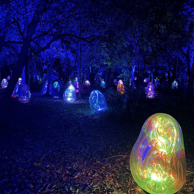 大阪長居植物園team lab