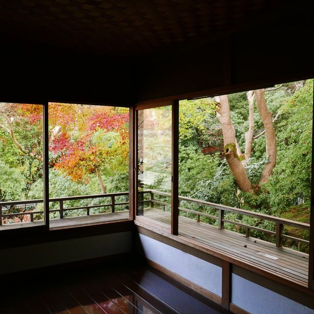 紅葉貴必訪景點 - 京都瑠璃光院