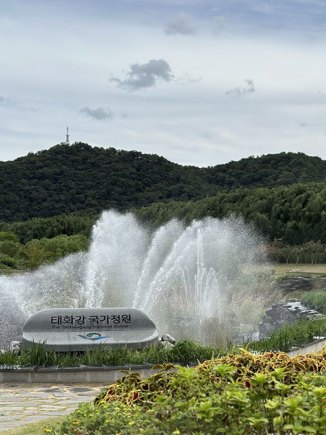 울산의 숨은 명소, 태화강국가정원💖