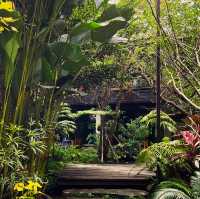 ฉำฉาคาเฟ่ เน้นธรรมชาติสีเขียว