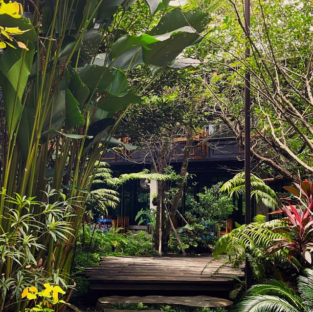 ฉำฉาคาเฟ่ เน้นธรรมชาติสีเขียว