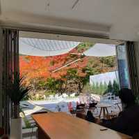 剛泉山非常推薦的 Cafe🤩 有楓葉位