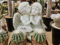 สวนบัวชากังราว