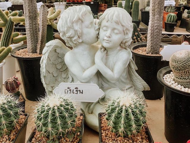 สวนบัวชากังราว