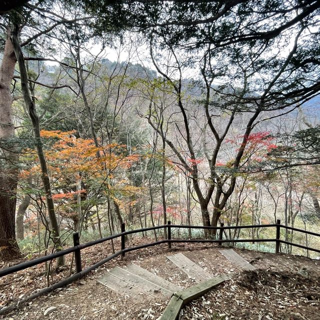 遊內藏山國家公園