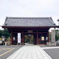 護国寺にある浅間神社の音羽富士