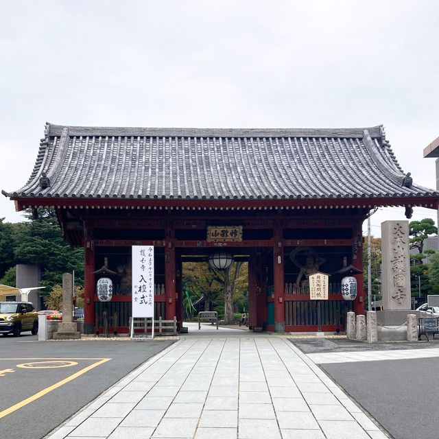 護国寺にある浅間神社の音羽富士